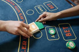 81 bet